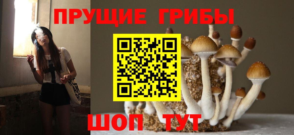 Галлюциногенные грибы GOLDEN TEACHER  Вход с VPN  Гусиноозёрск 